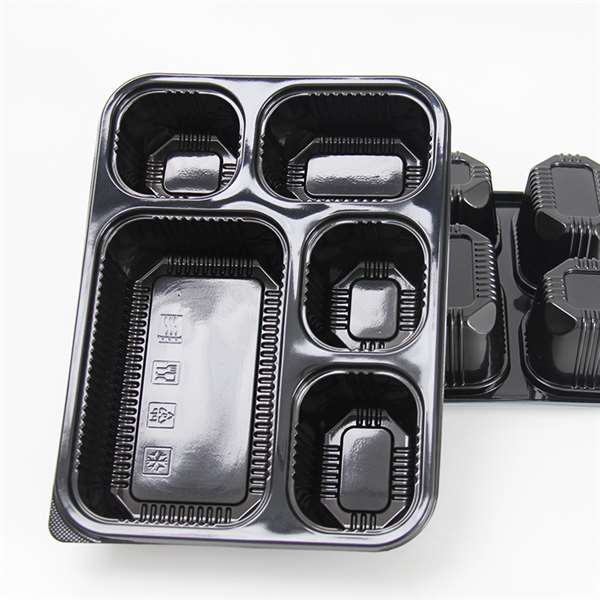 Disposable Lunch Box