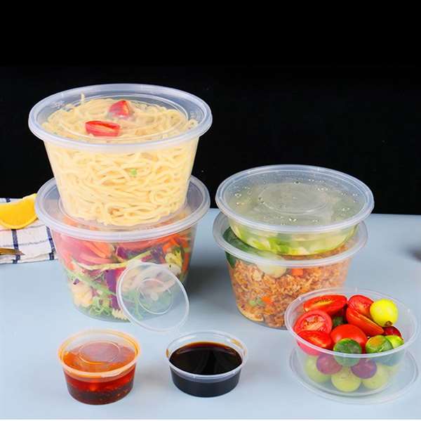 Disposable Lunch Box