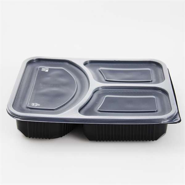 Disposable Lunch Box